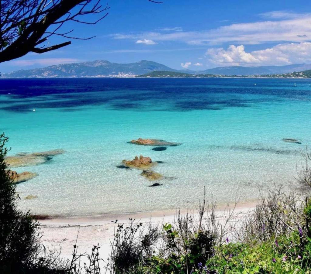 Nouveaute! Magnifique Villa A 2 Minutes Des Plus Belles Plages De La Rive Sud 波尔蒂乔 外观 照片